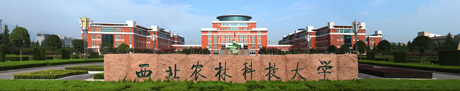42.西北農林科技大學.jpg